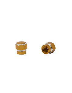 Valve Caps Hex Two Tone Gold