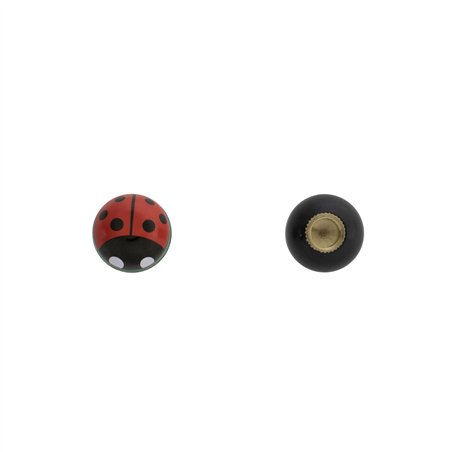 Valve Caps Ladybug