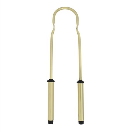 Sissy Bar w/Shock 22" Gold